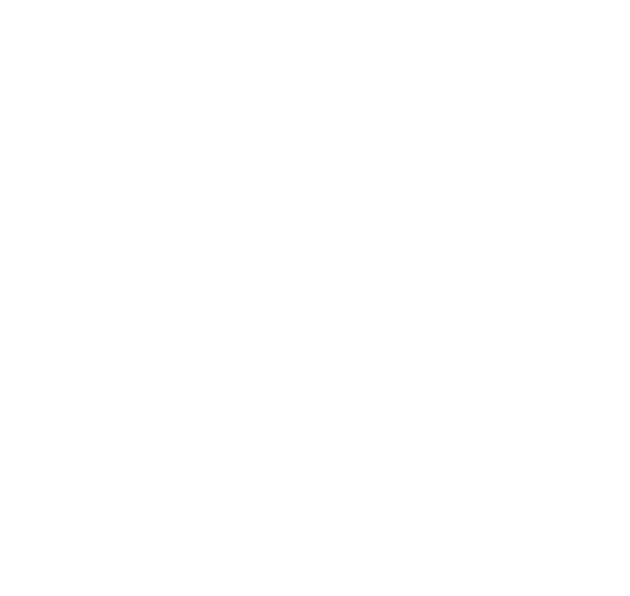 LAVASANI PAINT